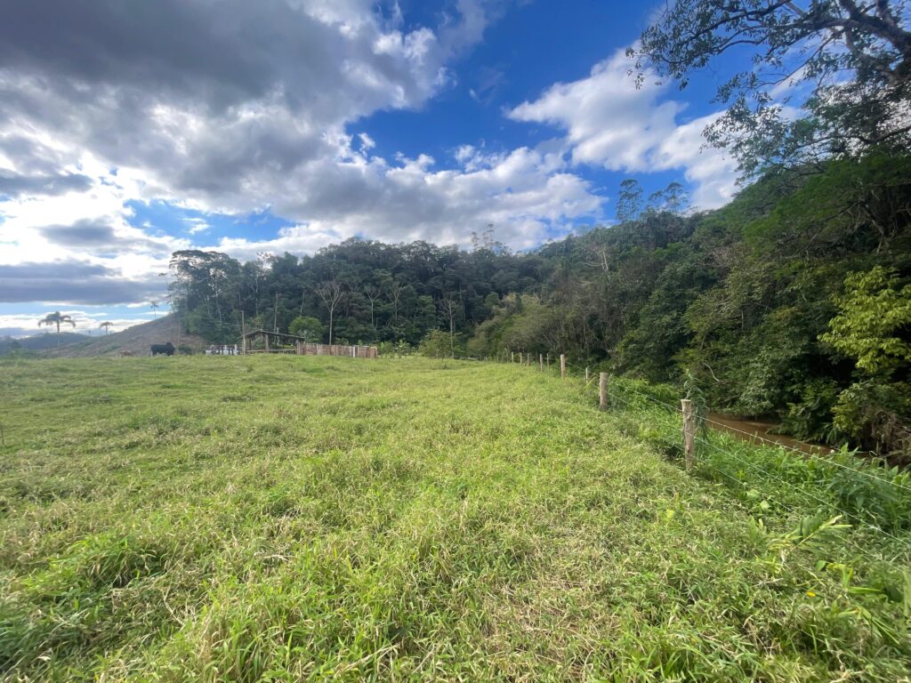 WhatsApp Image 2025-10-28 at 16.35.48 (2)