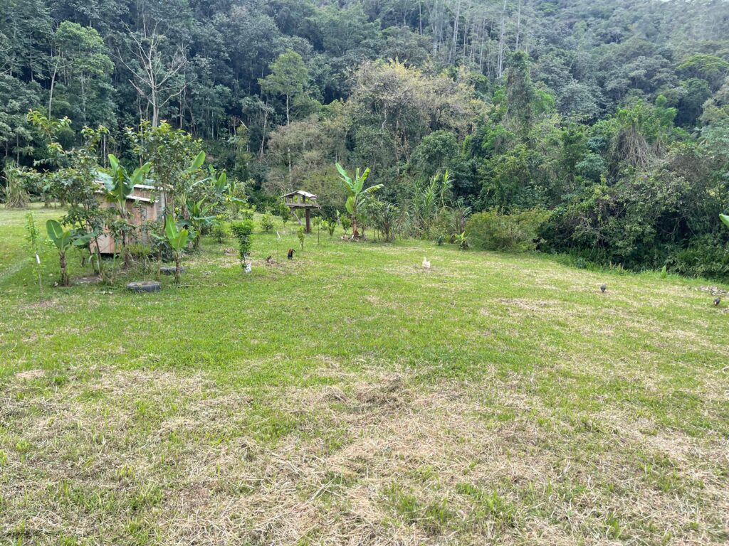 WhatsApp Image 2025-10-28 at 16.35.49