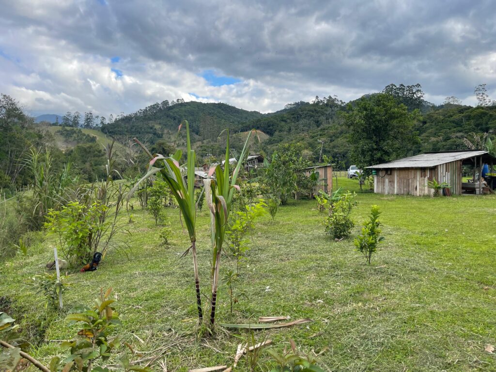 WhatsApp Image 2025-10-28 at 16.35.49 (5)