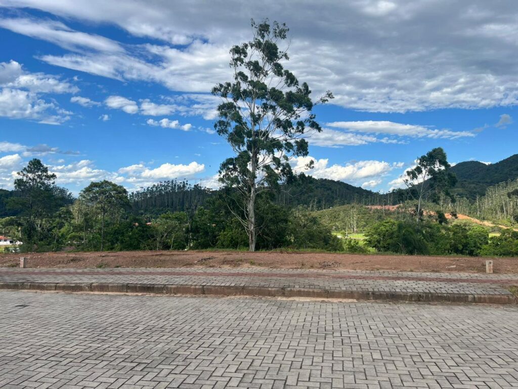 WhatsApp Image 2026-01-03 at 14.45.26