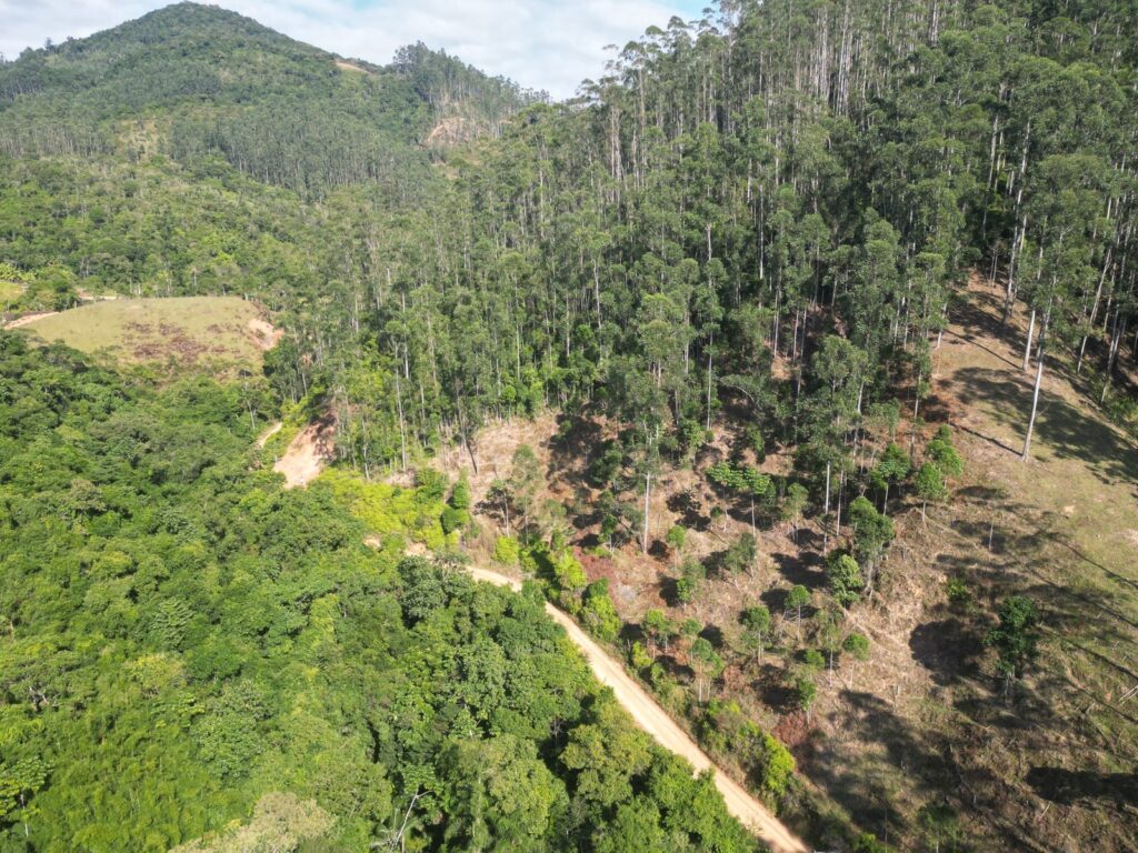 WhatsApp Image 2026-02-12 at 14.45.06 (1)