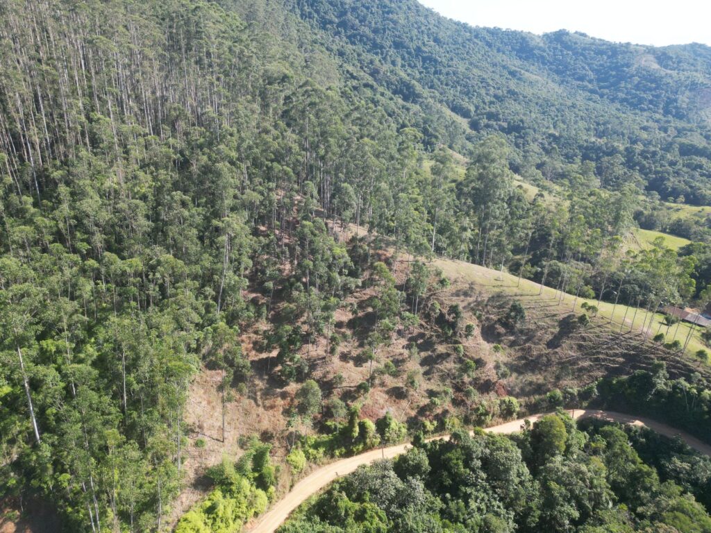 WhatsApp Image 2026-02-12 at 14.45.06 (2)