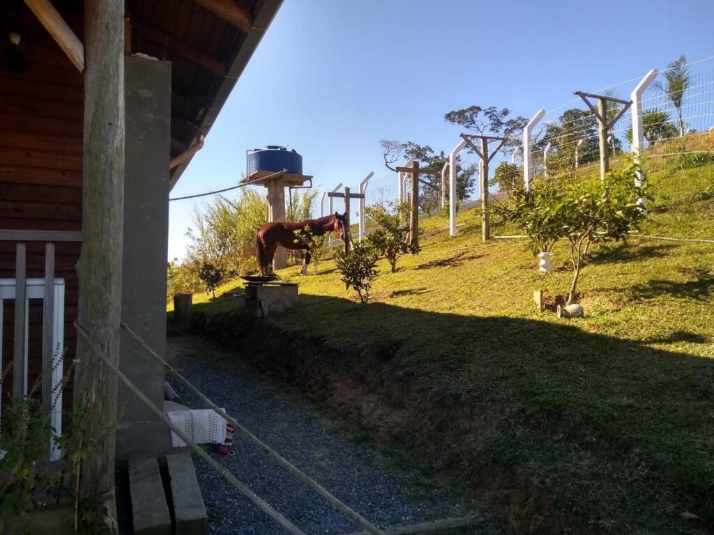 WhatsApp Image 2026-02-12 at 14.50.22 (2)