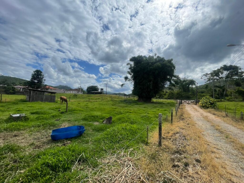 WhatsApp Image 2026-02-12 at 15.01.50 (1)