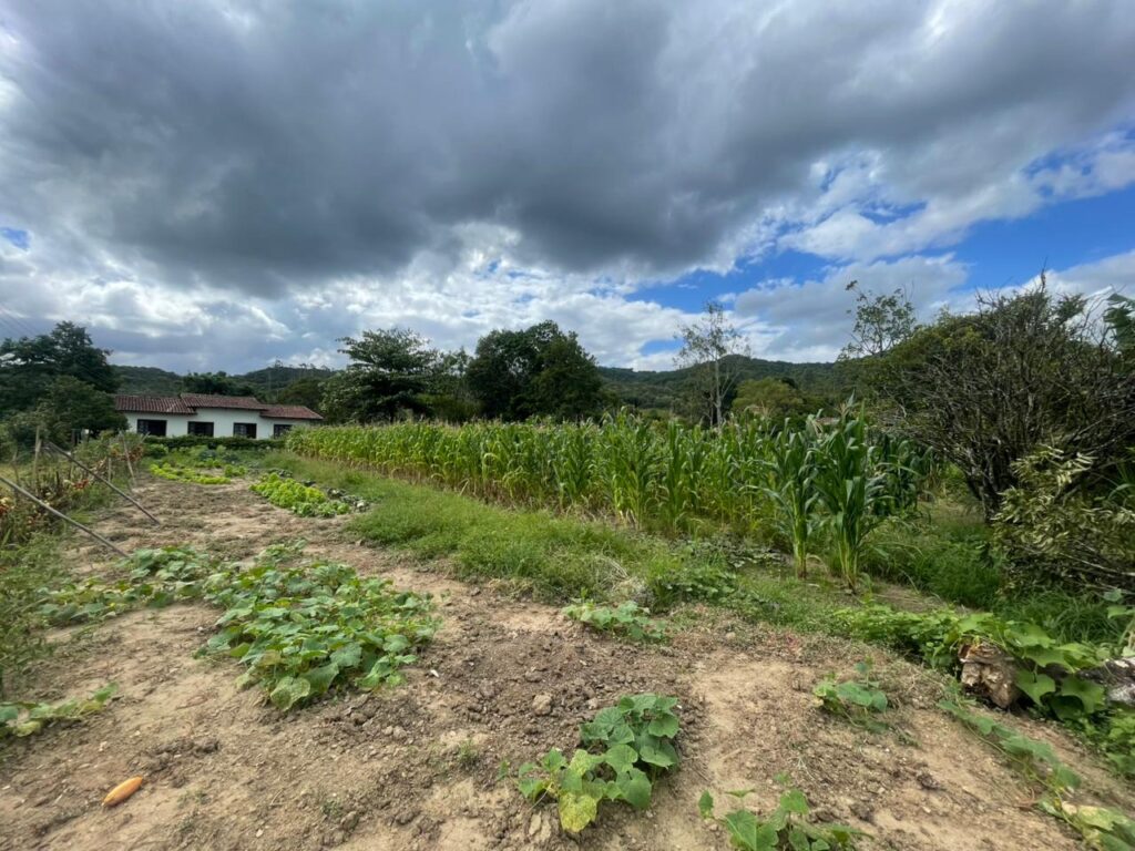 WhatsApp Image 2026-02-12 at 15.01.51 (1)