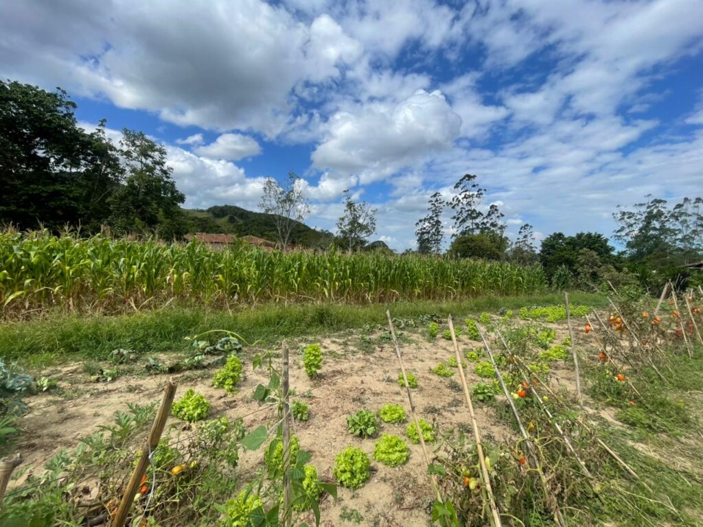 WhatsApp Image 2026-02-12 at 15.01.51 (2)