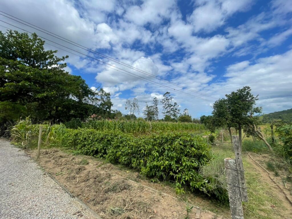 WhatsApp Image 2026-02-12 at 15.01.51 (3)