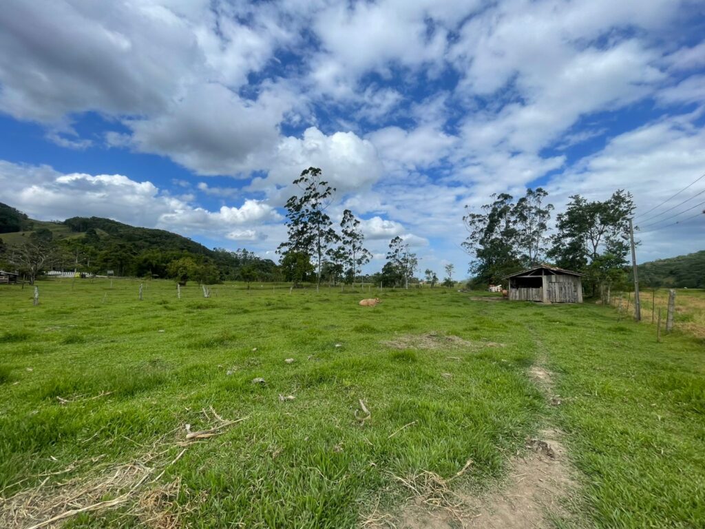 WhatsApp Image 2026-02-12 at 15.01.52 (1)