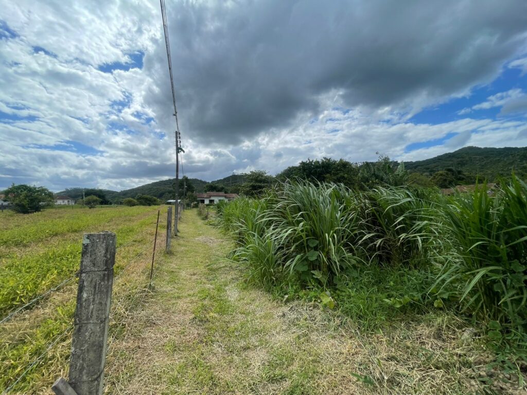 WhatsApp Image 2026-02-12 at 15.01.52