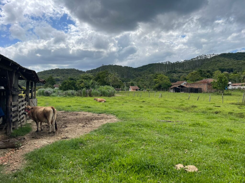 WhatsApp Image 2026-02-12 at 15.01.52 (2)