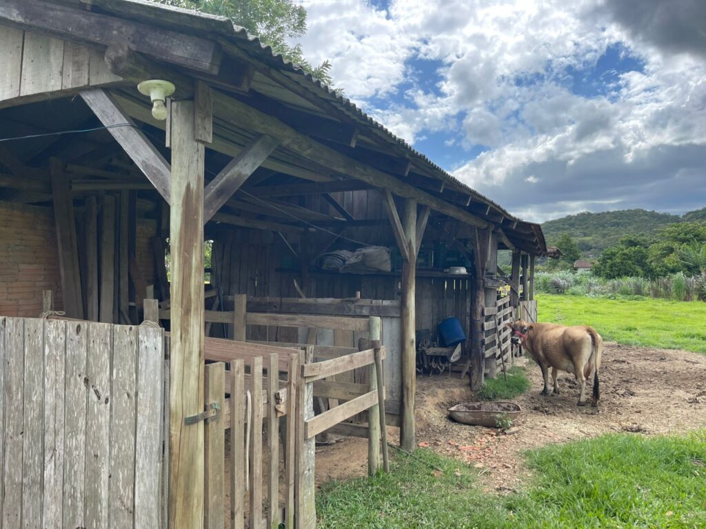 WhatsApp Image 2026-02-12 at 15.01.52 (3)