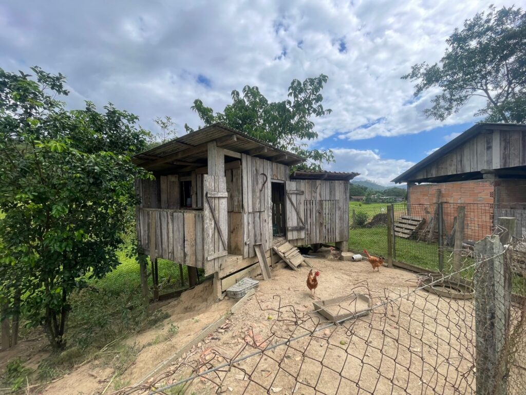 WhatsApp Image 2026-02-12 at 15.01.53