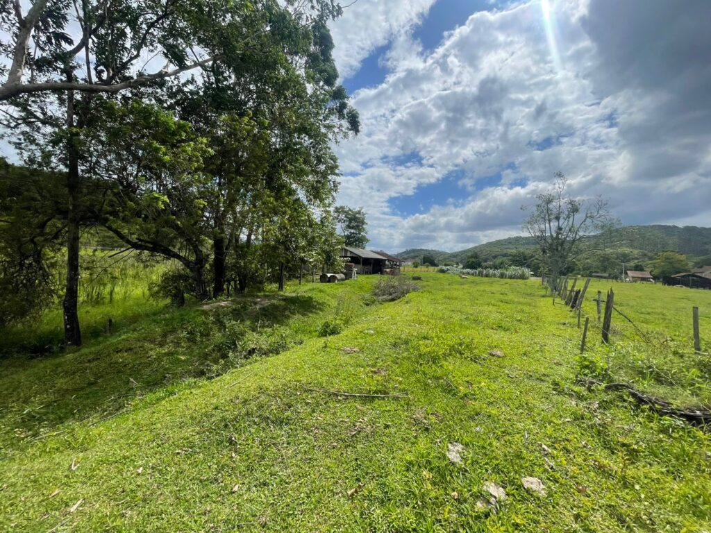 WhatsApp Image 2026-02-12 at 15.01.53 (3)