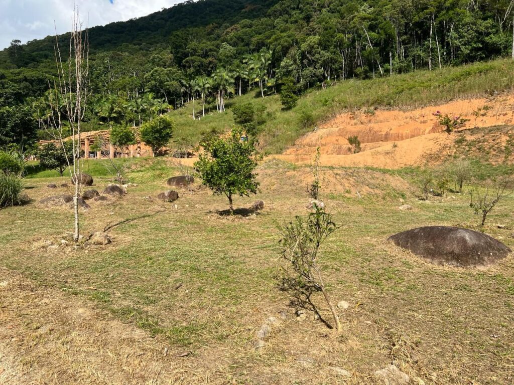 WhatsApp Image 2026-02-12 at 15.09.10 (1)