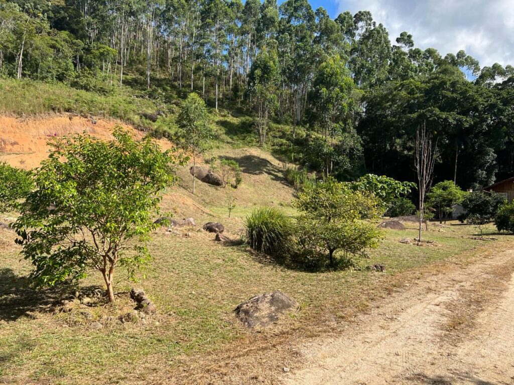 WhatsApp Image 2026-02-12 at 15.09.10