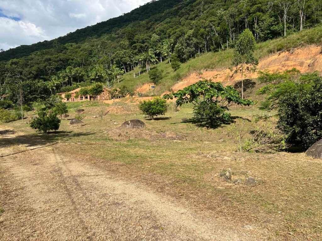 WhatsApp Image 2026-02-12 at 15.09.11 (2)