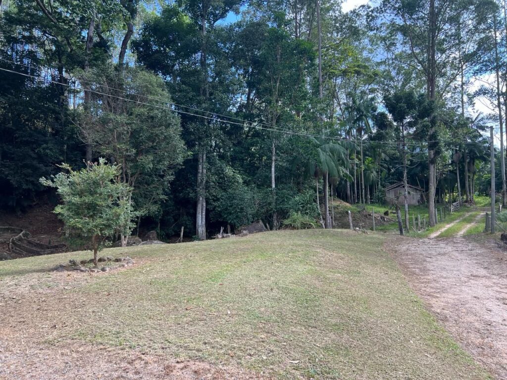 WhatsApp Image 2026-02-12 at 15.09.12