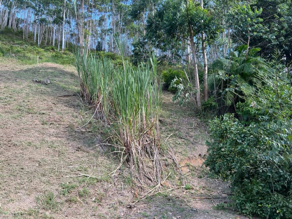 WhatsApp Image 2026-02-12 at 15.09.14 (1)