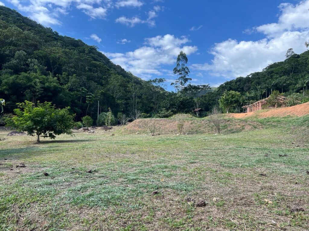 WhatsApp Image 2026-02-12 at 15.09.15 (1)