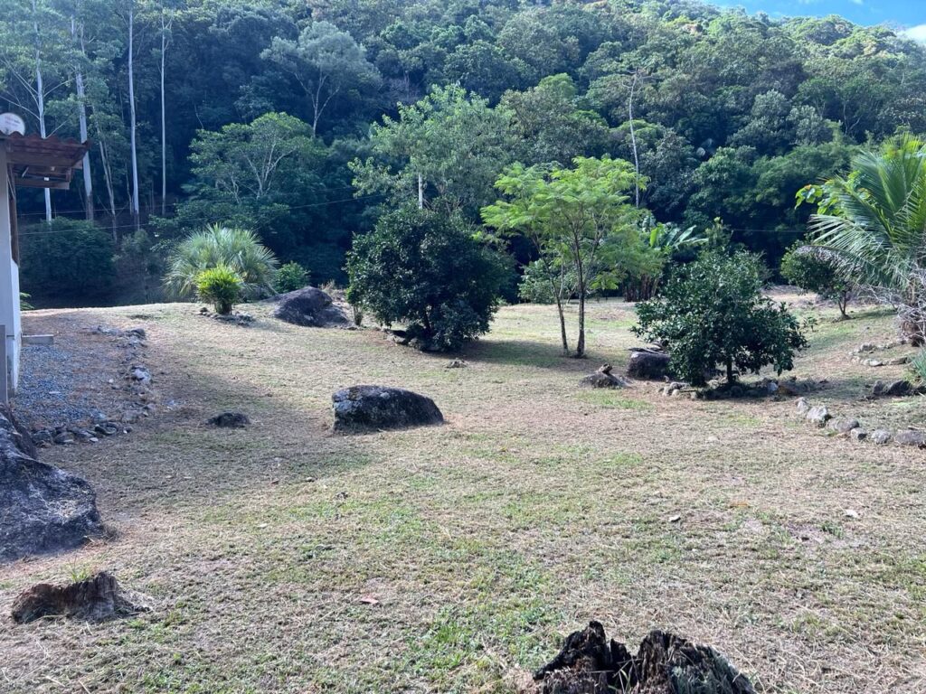 WhatsApp Image 2026-02-12 at 15.09.15