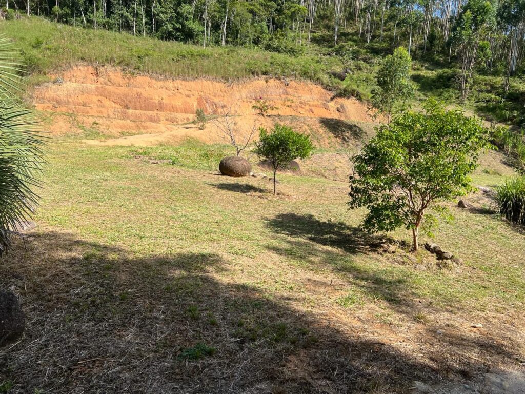 WhatsApp Image 2026-02-12 at 15.09.15 (2)