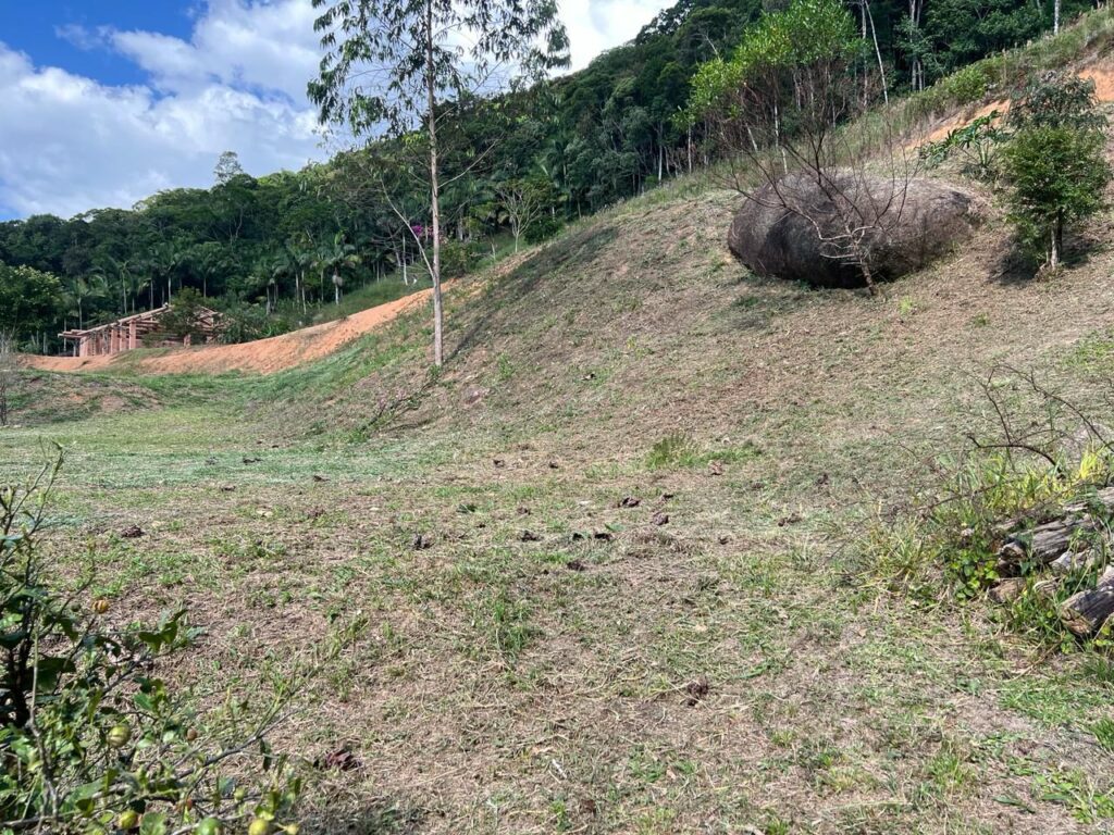 WhatsApp Image 2026-02-12 at 15.09.16