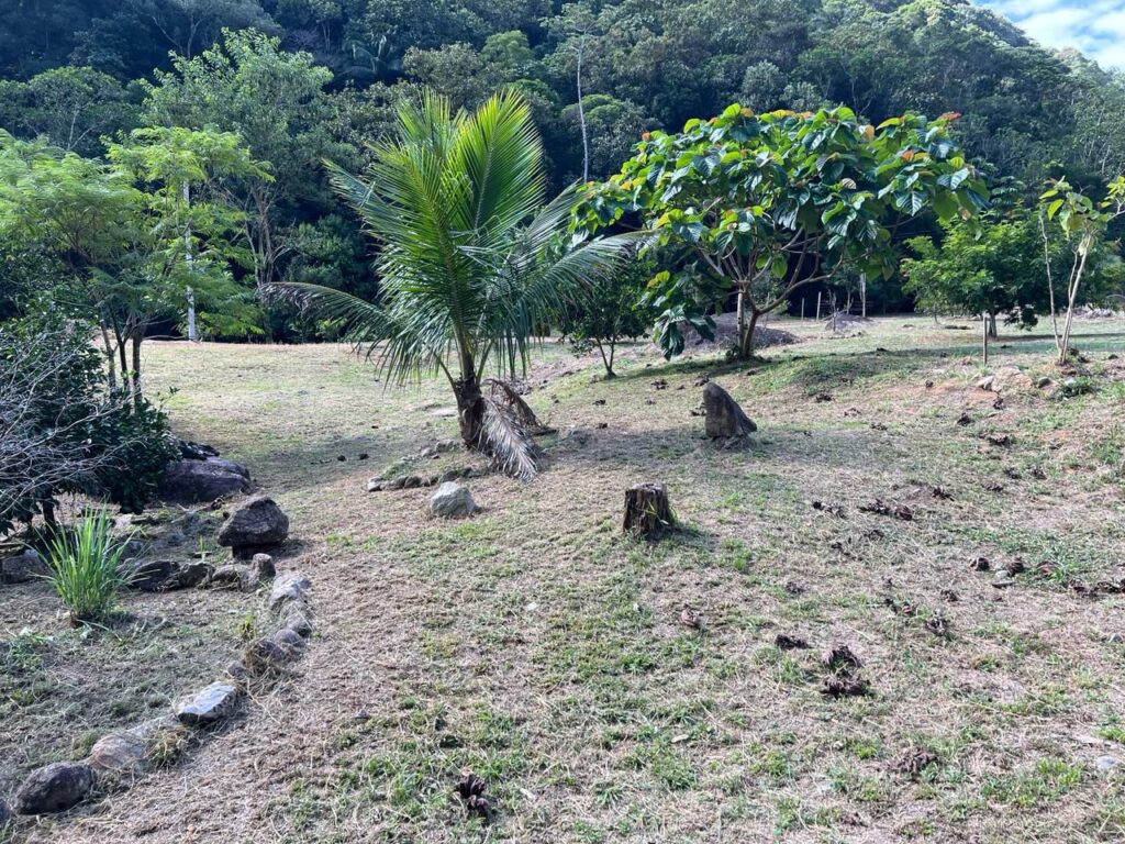 WhatsApp Image 2026-02-12 at 15.09.16 (3)