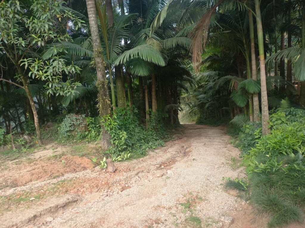 WhatsApp Image 2026-08-18 at 22.05.47 (1)