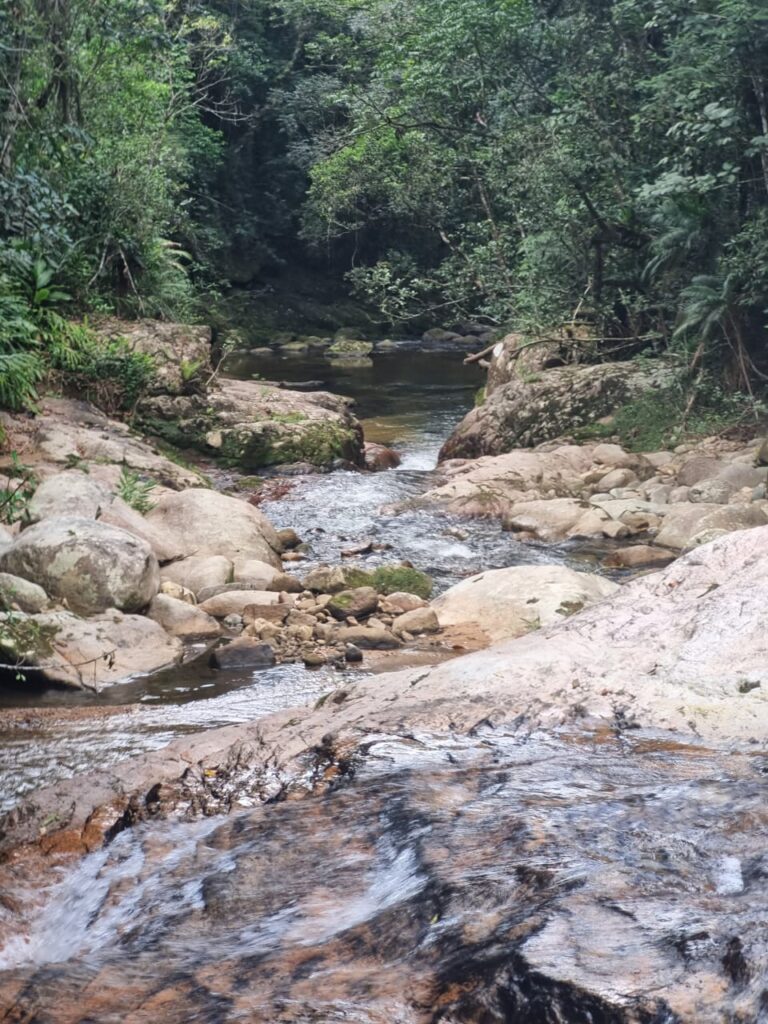 WhatsApp Image 2026-08-19 at 15.10.44 (1)