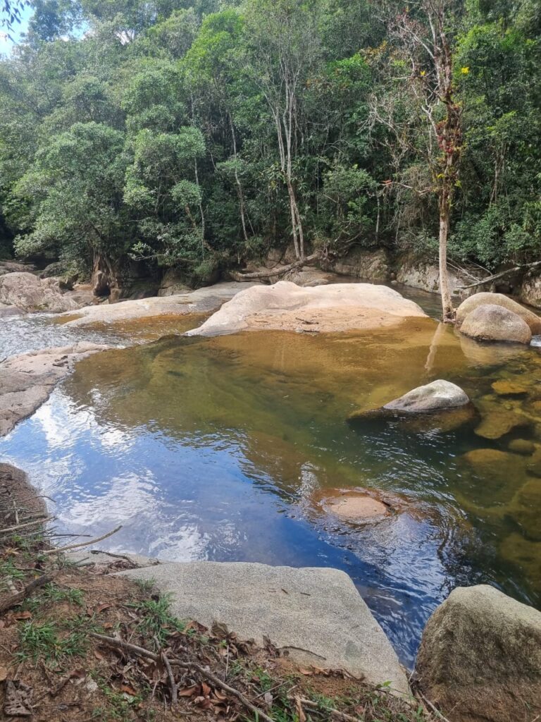 WhatsApp Image 2026-08-19 at 15.10.46 (1)