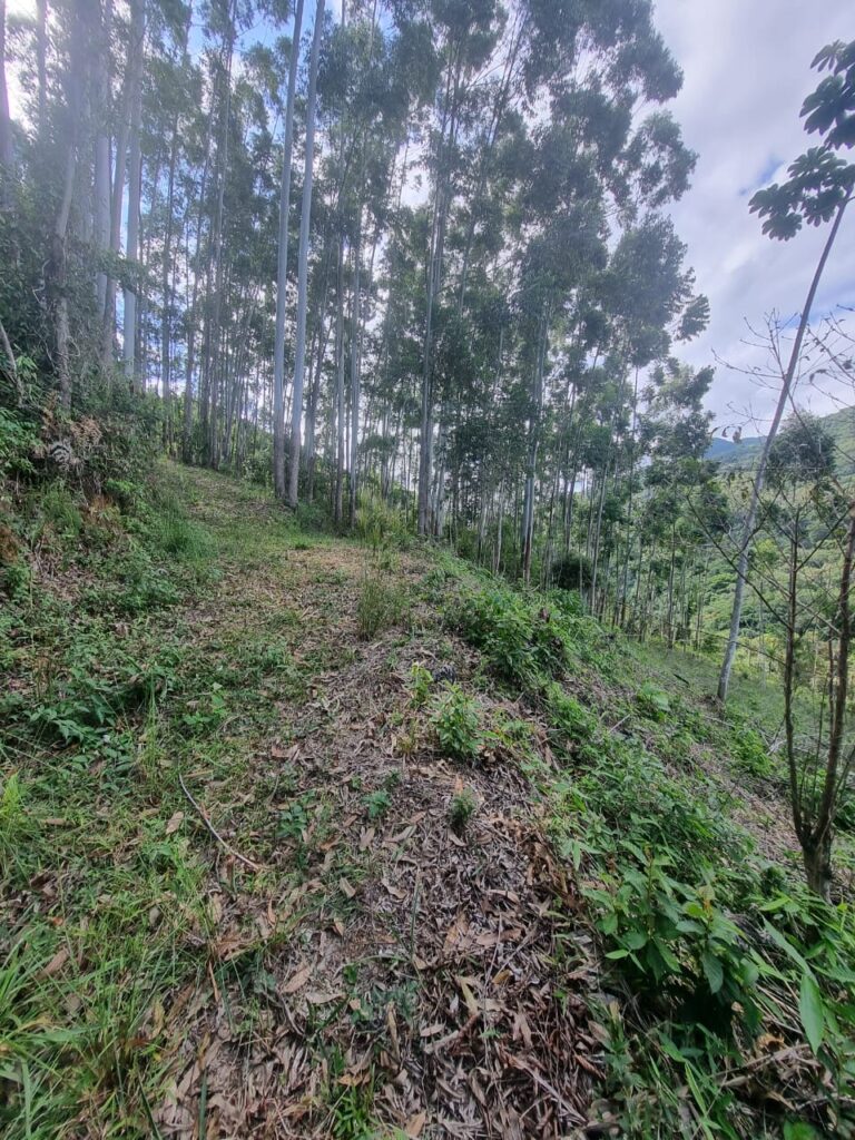 WhatsApp Image 2026-08-19 at 15.10.47